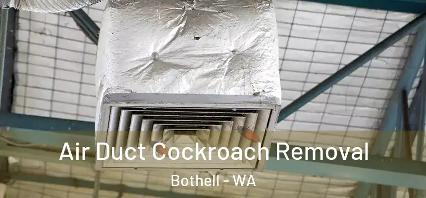  Air Duct Cockroach Removal Bothell - WA