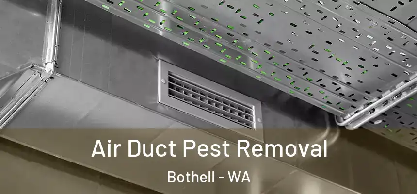 Air Duct Pest Removal Bothell - WA