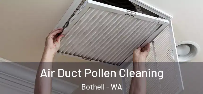 Air Duct Pollen Cleaning Bothell - WA