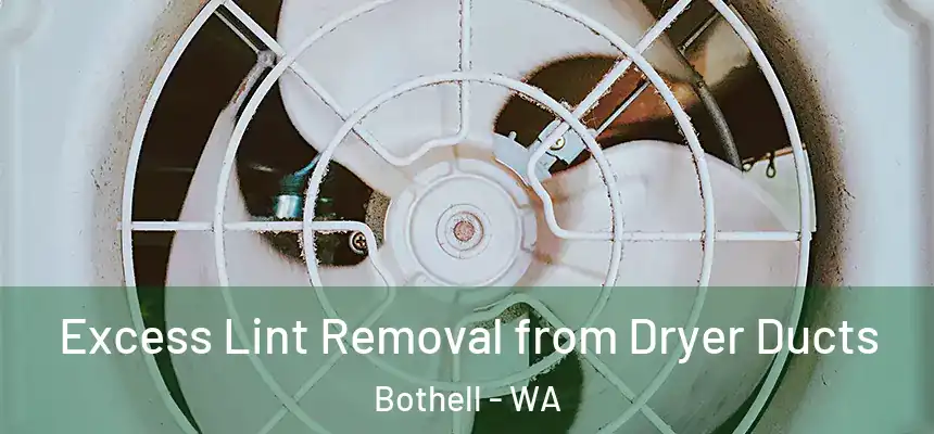  Excess Lint Removal from Dryer Ducts Bothell - WA