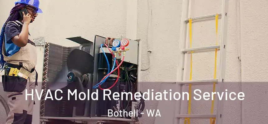  HVAC Mold Remediation Service Bothell - WA