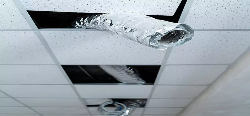 Affordable HVAC Sanitizing After Pest Removal in Bothell