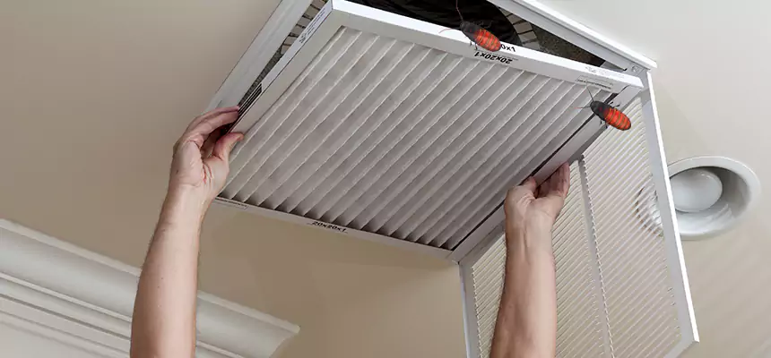 Our Insect Removal from Air Ducts Services in Bothell, WA
