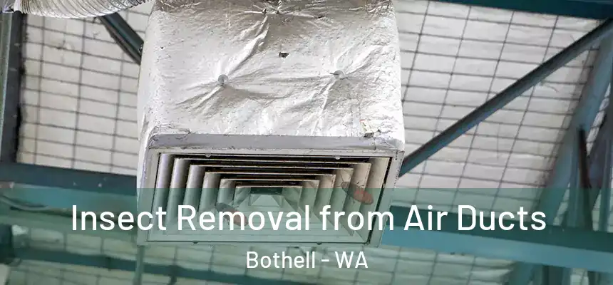  Insect Removal from Air Ducts Bothell - WA