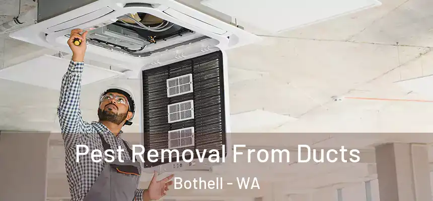  Pest Removal From Ducts Bothell - WA