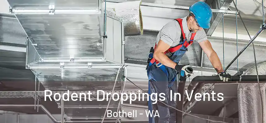  Rodent Droppings In Vents Bothell - WA