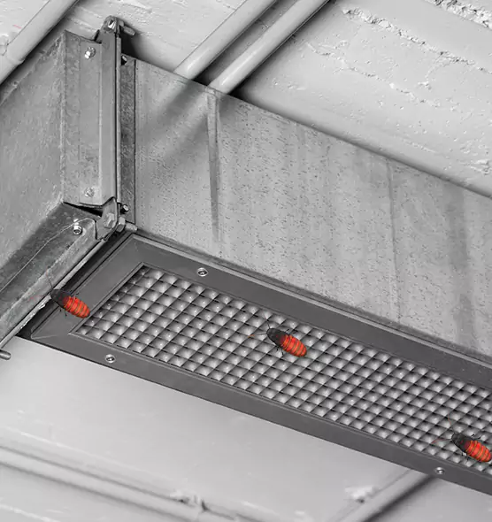 About Air Duct Cockroach Removal in Bothell, WA