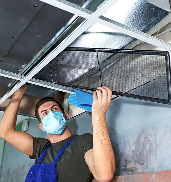 Professional Air Duct Pollen Cleaning in Bothell, WA