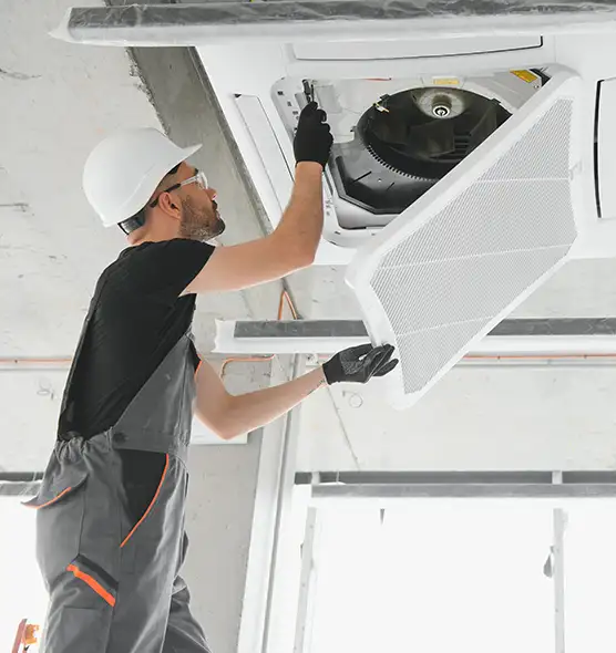 About Air Duct Rodent Removal in Bothell, WA