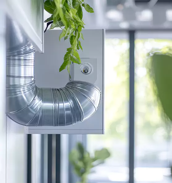 Professional Eco-Safe Dryer Vent Cleaning in Bothell, WA