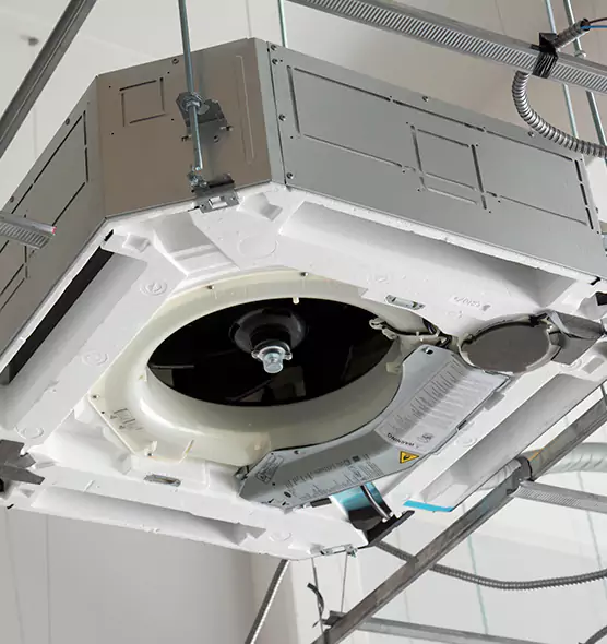 Professional Roof Vent Lint Removal Bothell, WA