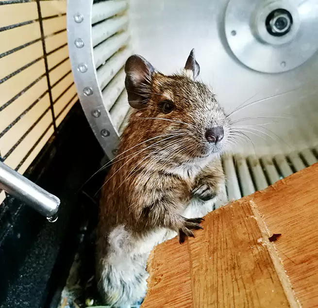 Why Homeowners & Businesses Trust Us Bothell, WA?