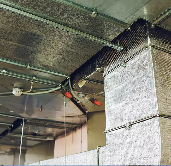 Why Homeowners & Businesses Trust Us Bothell, WA?