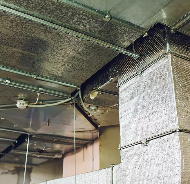 Why Homeowners & Businesses Trust Us in Bothell, WA?